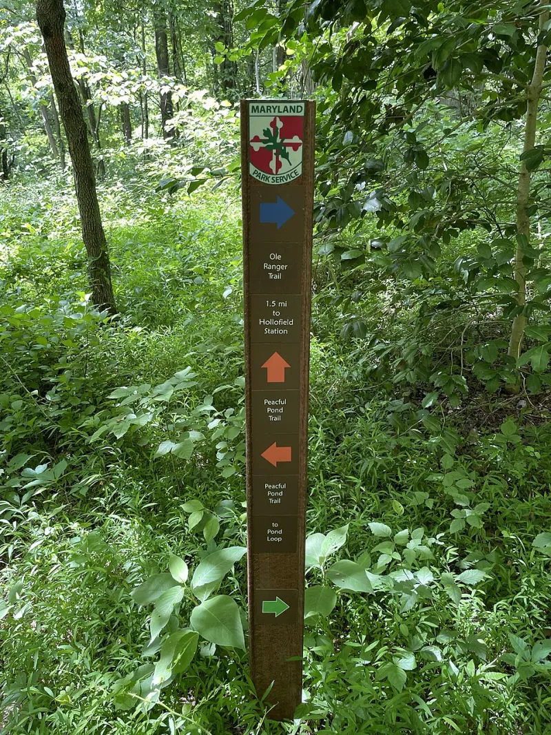 What Rangers Won't Tell You: Decoding the Real Story Behind Official Trail Reports